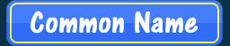 Common Name Search