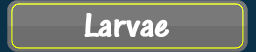 Larvae Colour Search